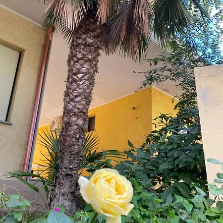 Giardini Verdi Notte Stellata