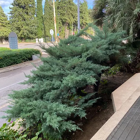 Giardini Verdi * Muravera